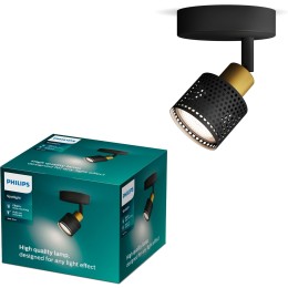 Philips 8720169300071 nástenné svietidlo Niall  GU10