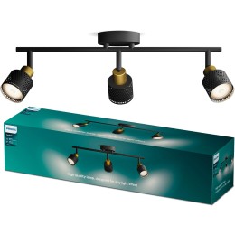 Philips 8720169300118 bodové stropné svietidlo Niall  GU10