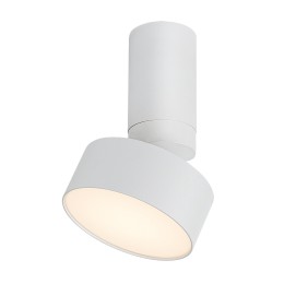 Rabalux 98071326 LED prisadené stropné svietidlo Ovidia  | 10W integrovaný LED zdroj | 640lm | 3000K
