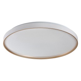 Rabalux 71453 LED prisadené stropné svietidlo Zerava | 60W integrovaný LED zdroj | 4100lm | 3000-650