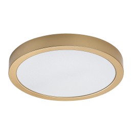 Rabalux 75079 LED vonkajšie stropné svietidlo ShaunPlus | 30W integrovaný LED zdroj | 3000lm | 4000K