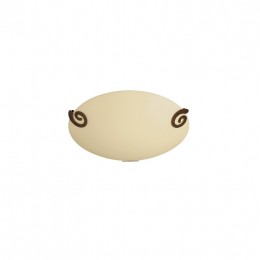 nástenné a stropné svietidlo Philips 1x100W E27