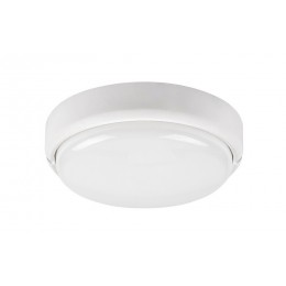 Rabalux 7406 LED vonkajšie nástenné alebo stropné svietidlo Hort 1x15W | 1300lm | 4000K | IP54 - bie