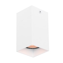 Italux CLN-28394-S-WH bodové stropné svietidlo Ander GU10