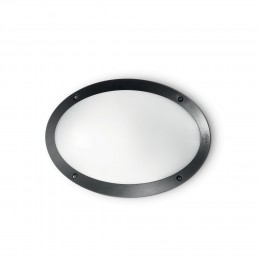 Ideal Lux 096704 vonkajšie nástenné svietidlo Maddy 1x23W | E27 | IP66