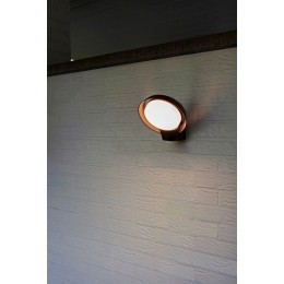 Lutec 5205701118 LED vonkajšie nástenné svietidlo Polo so senzorom 1x15W | 1100lm | 3000K | IP54